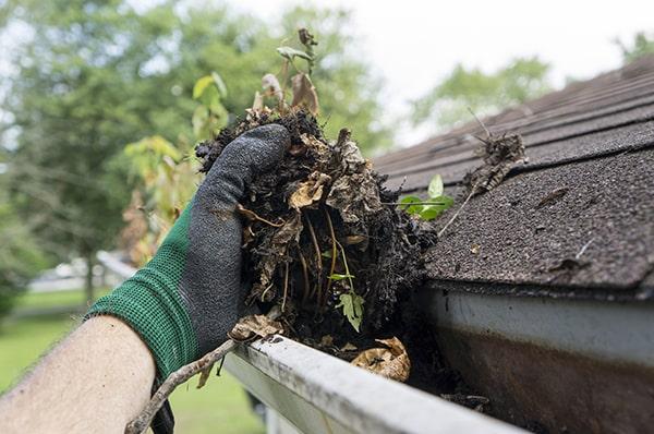 you can tell if your gutters need cleaning if you notice water overflowing or plants growing in the gutters